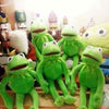 Frog Sesame Street Doll Animal Plush Toys