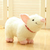 Lovely Cute Pig Plush Toy